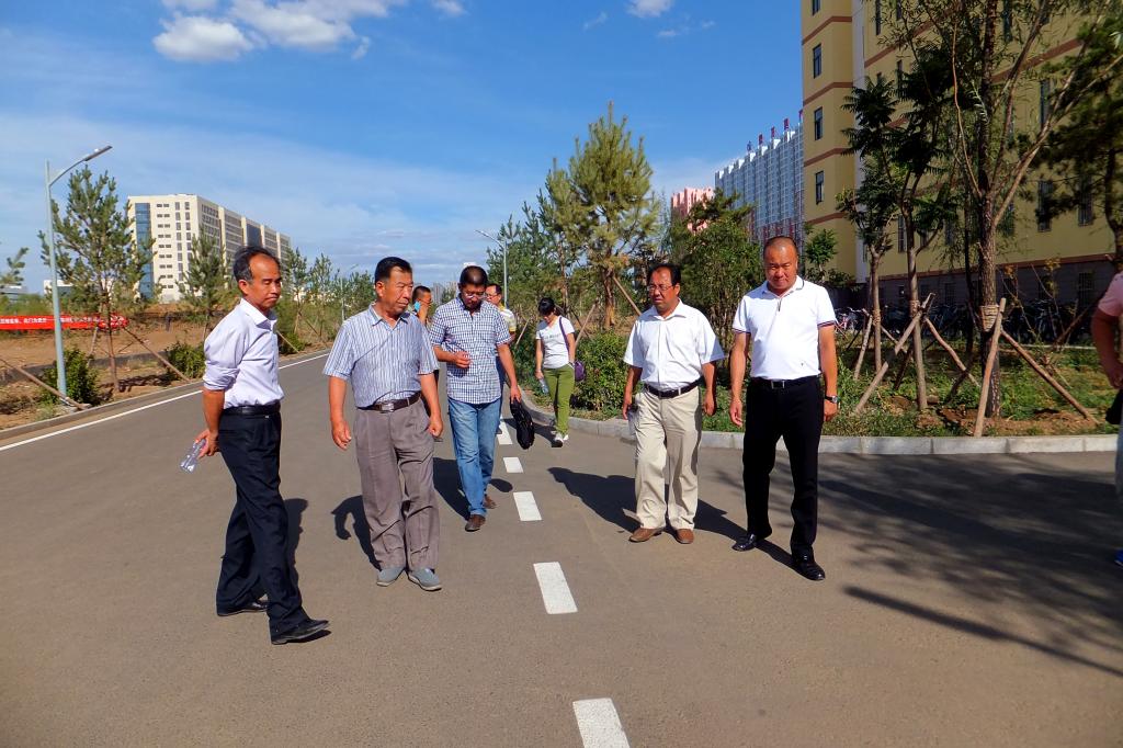 现场检查道路施工情况